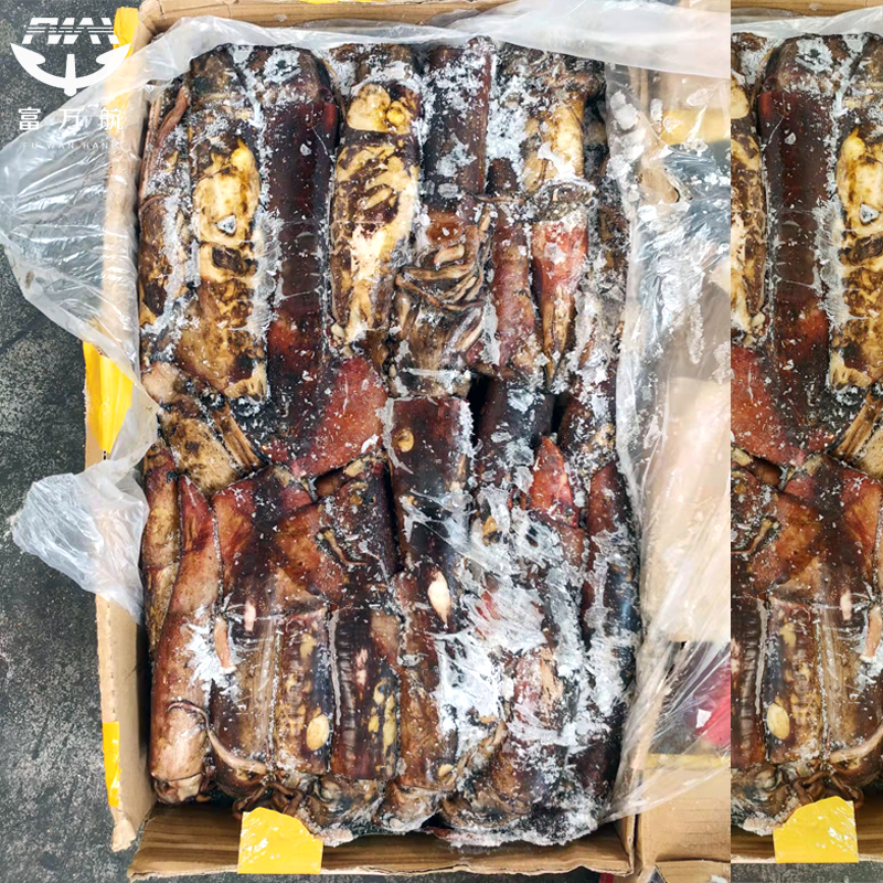 Top Sale Sea Frozen Indian Ocean Squid Wholesale