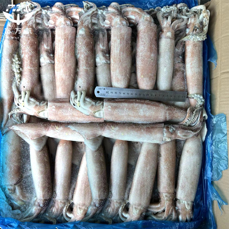 Acheter des fruits de mer surgelés Todarode Squid