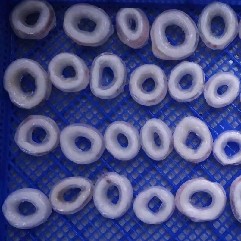 Frozen squid ring