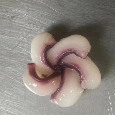 Frozen squid tentacle flower
