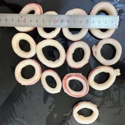Process Frozen Seafood Indian Ocean Squid Ring