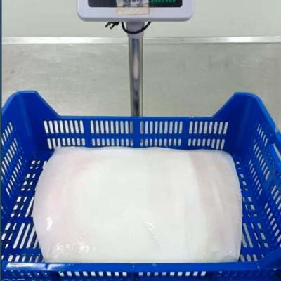 New Process Skinless Giant Squid Fillet