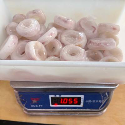 Process Frozen Seafood Indian Ocean Squid Ring