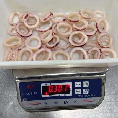 Process Frozen Seafood Indian Ocean Squid Ring