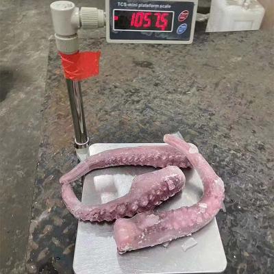 IQF Seafood Squid Tentacle Export