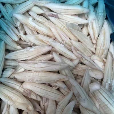 New Process Skinless Frozen Rocket Squid Flower