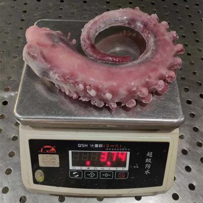 IQF Seafood Squid Tentacle Export