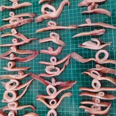 Frozen Seafood Squid Wing Strips