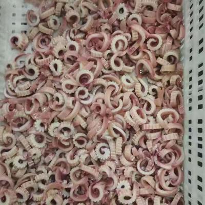 Frozen Seafood Giant Peru Squid Wing Flower