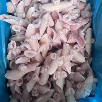 Frozen Seafood Indian Ocean Squid Wing Flower