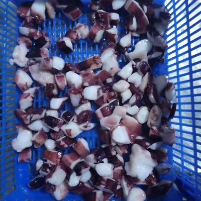 Giant squid cooked tentacle slice price