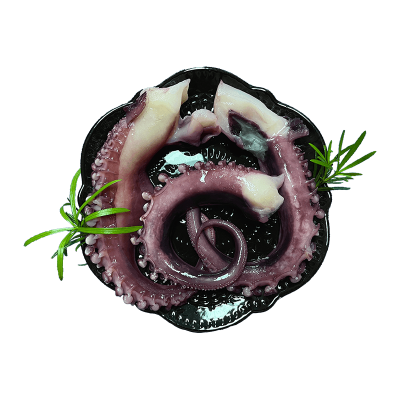 IQF Seafood Squid Tentacle Export