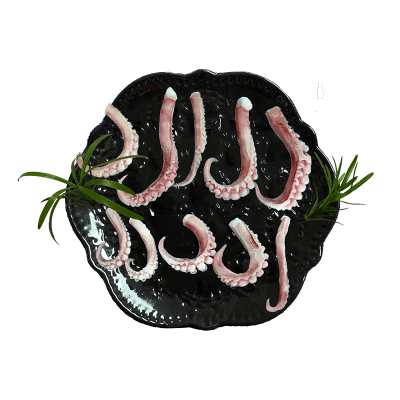 IQF Seafood Frpzen Squid Tentacle Cut