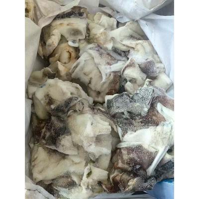 Frozen Cleaned Giant Peru Squid Neck Seafood