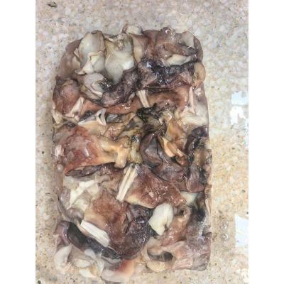Frozen Cleaned Giant Peru Squid Neck Seafood
