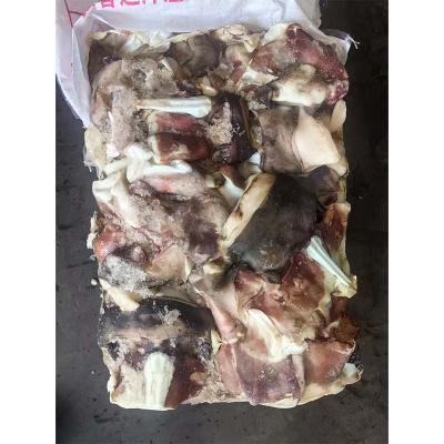 Frozen Cleaned Giant Peru Squid Neck Seafood