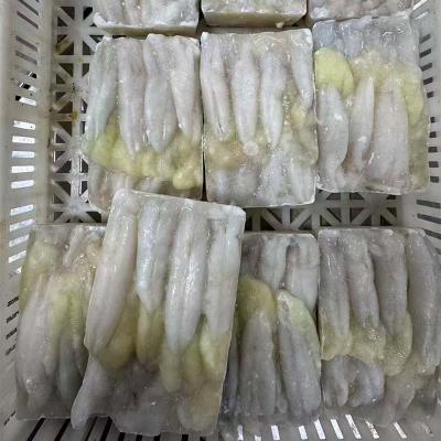 New Season fresh Seafood Frozen illex Squid Roe Frozen Calamari Egg