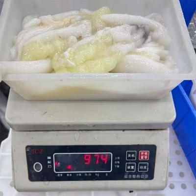 New Season fresh Seafood Frozen illex Squid Roe Frozen Calamari Egg