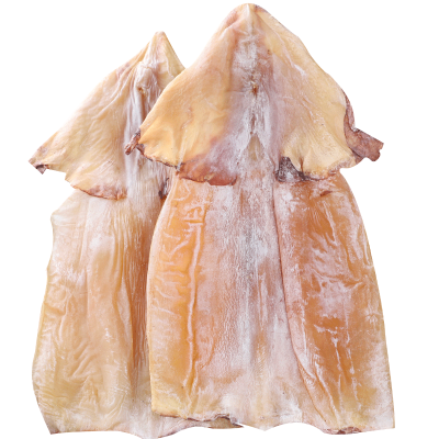 Frozen Seafood Dried Squid Tube