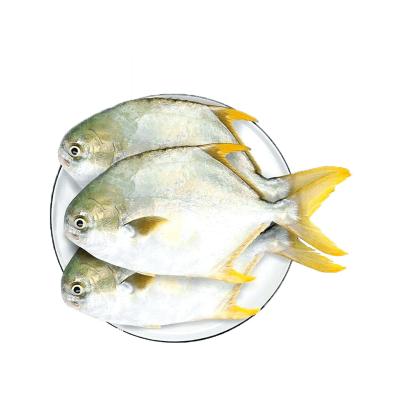 Frozen Fish Golden Pomfret Seafood