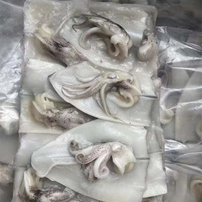 IQF illex squid fillet and head for global market